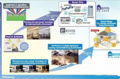 The Development of Energy Management Control System in Japan