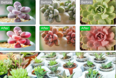 Plant Grow Lighting of ASABE S640 standard